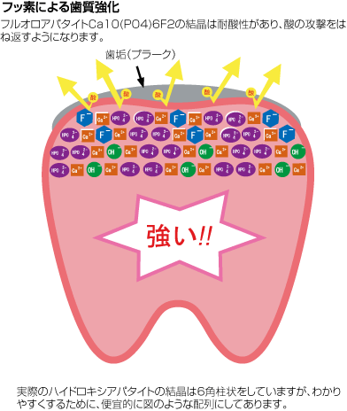 脱灰・再石灰化07